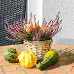 Nature & Friends Piesendorf