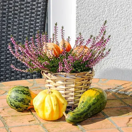 Nature & Friends Piesendorf